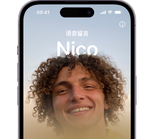 盐城苹果15服务站分享iPhone15实时语音留言开启方法 