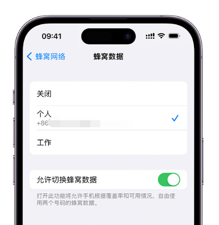 盐城苹果维修服务分享如何在iPhone上使用双卡 